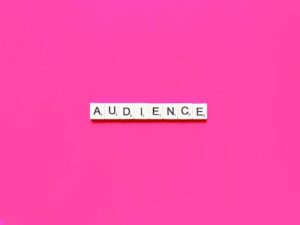 Large pink area with the word audience spelled out in the middle