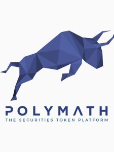 Polymath Networks