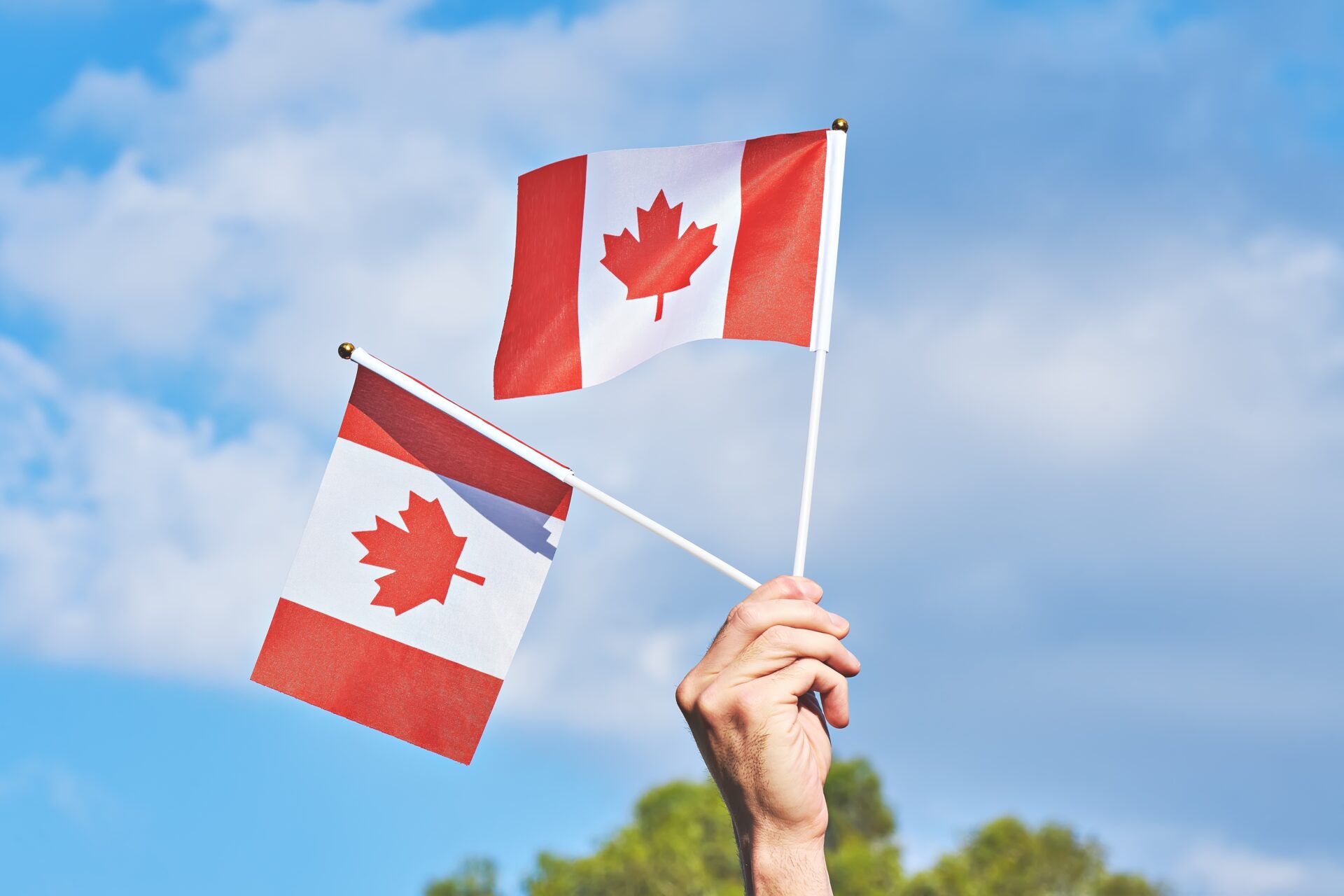 Navigating Tariffs & Trade Barriers: Marketing Solutions to Strengthen Canadian Business